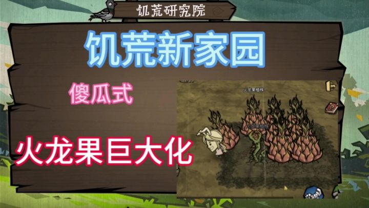 傻瓜式种植巨大火龙果！截图