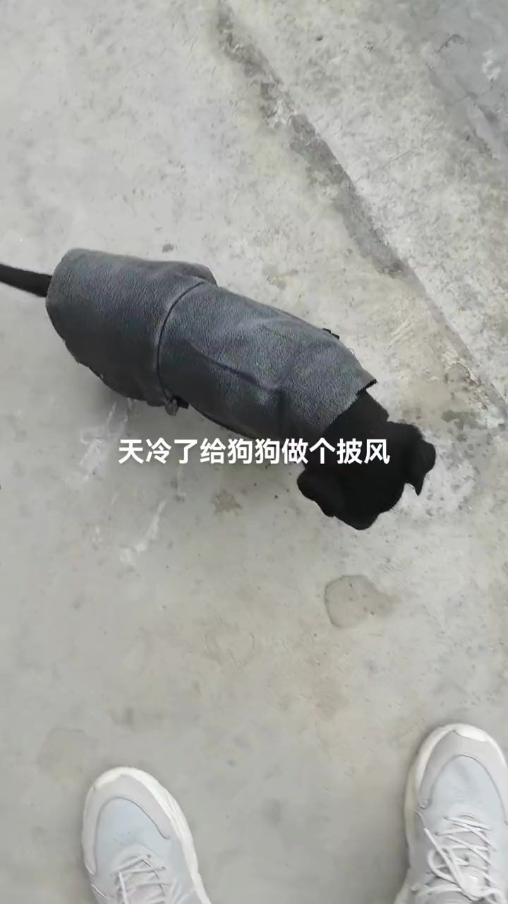 video-3863402