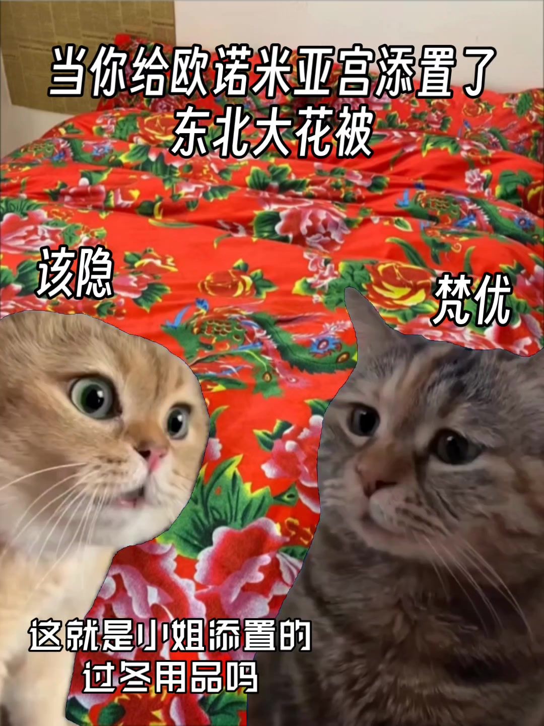 video-3863650