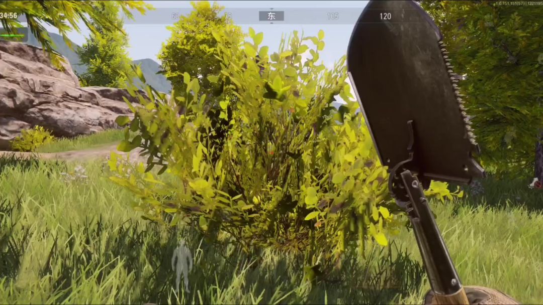 video-3867065