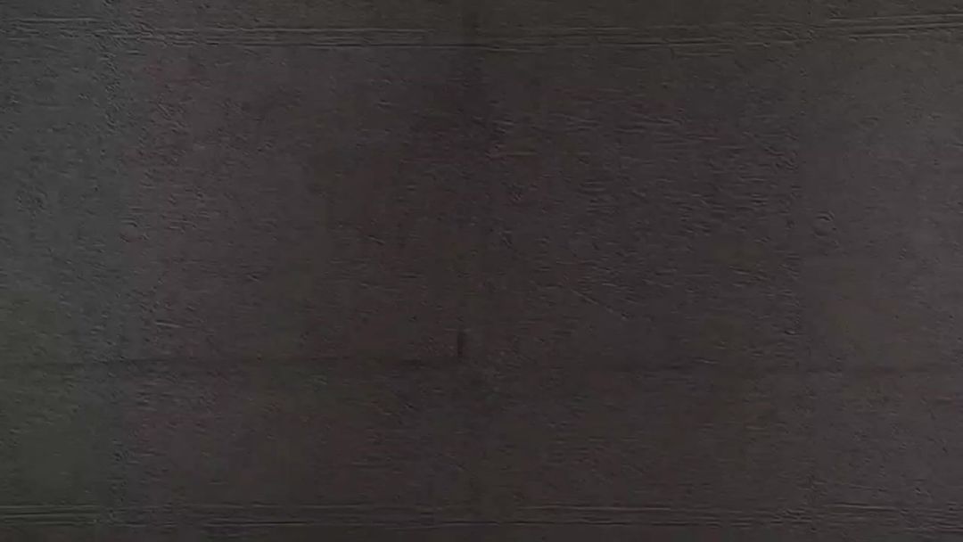 video-3871137