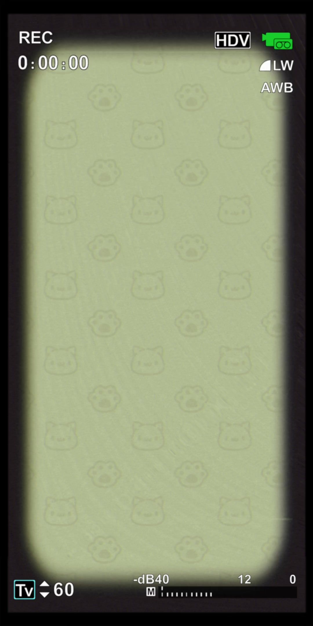 video-3879686