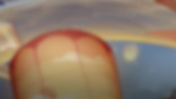 龙献瑞，万象迎春！新春版本即将开启~