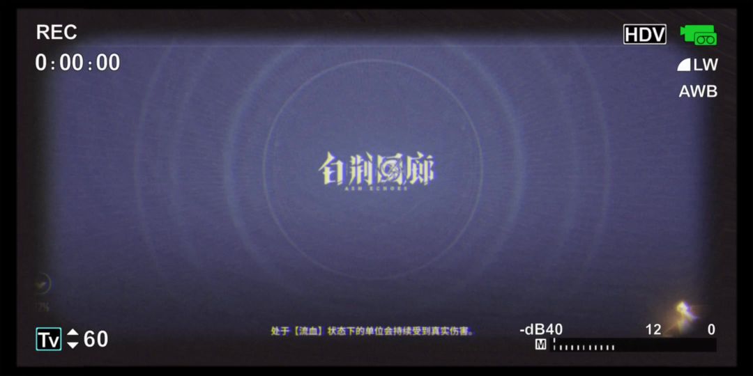 video-3886063