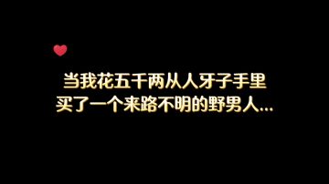 橙光推荐作品《贵极人臣》