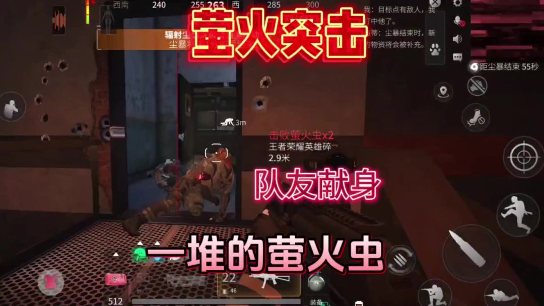 video-3902167