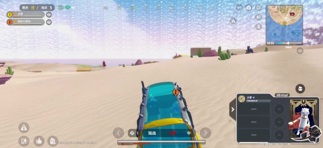 video-3907062