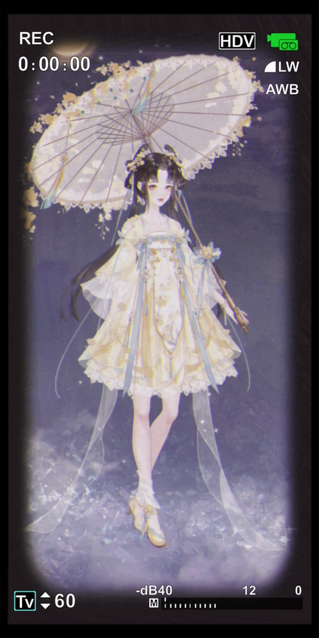 video-3908204