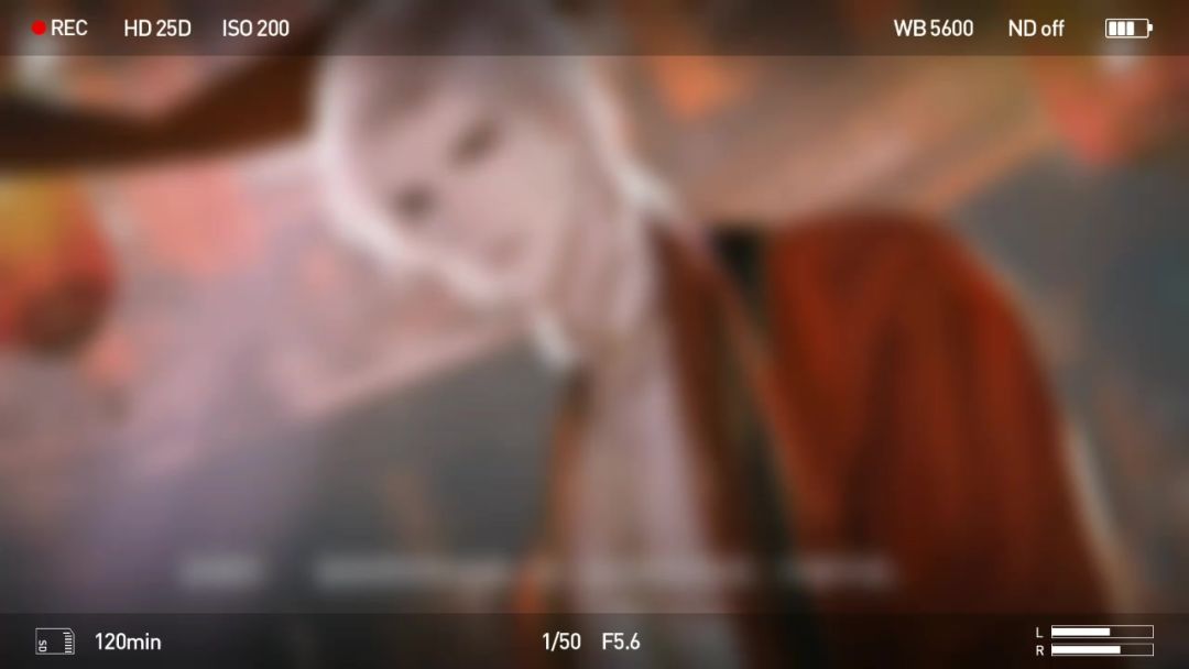 video-3909202