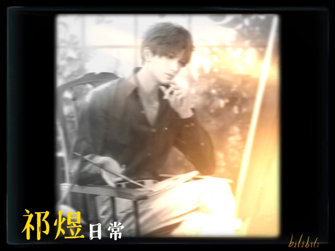 video-3916705