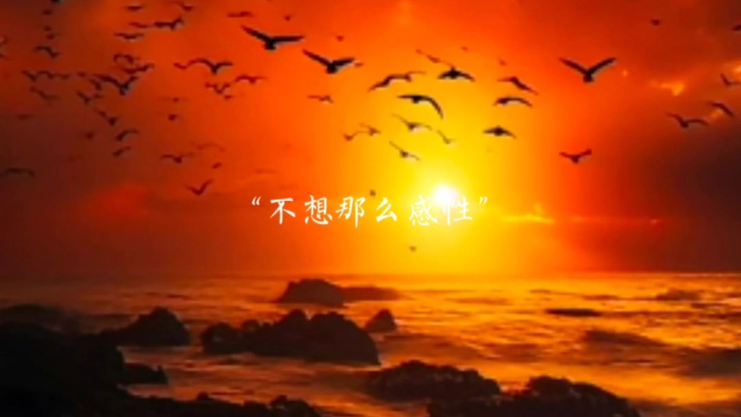 video-3917399