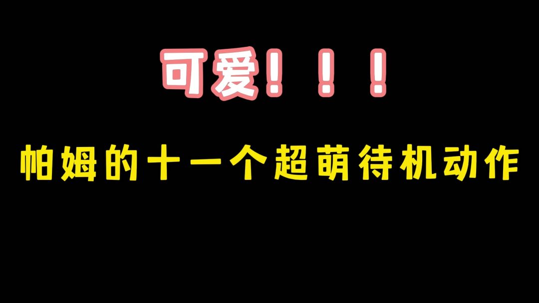 video-3918470
