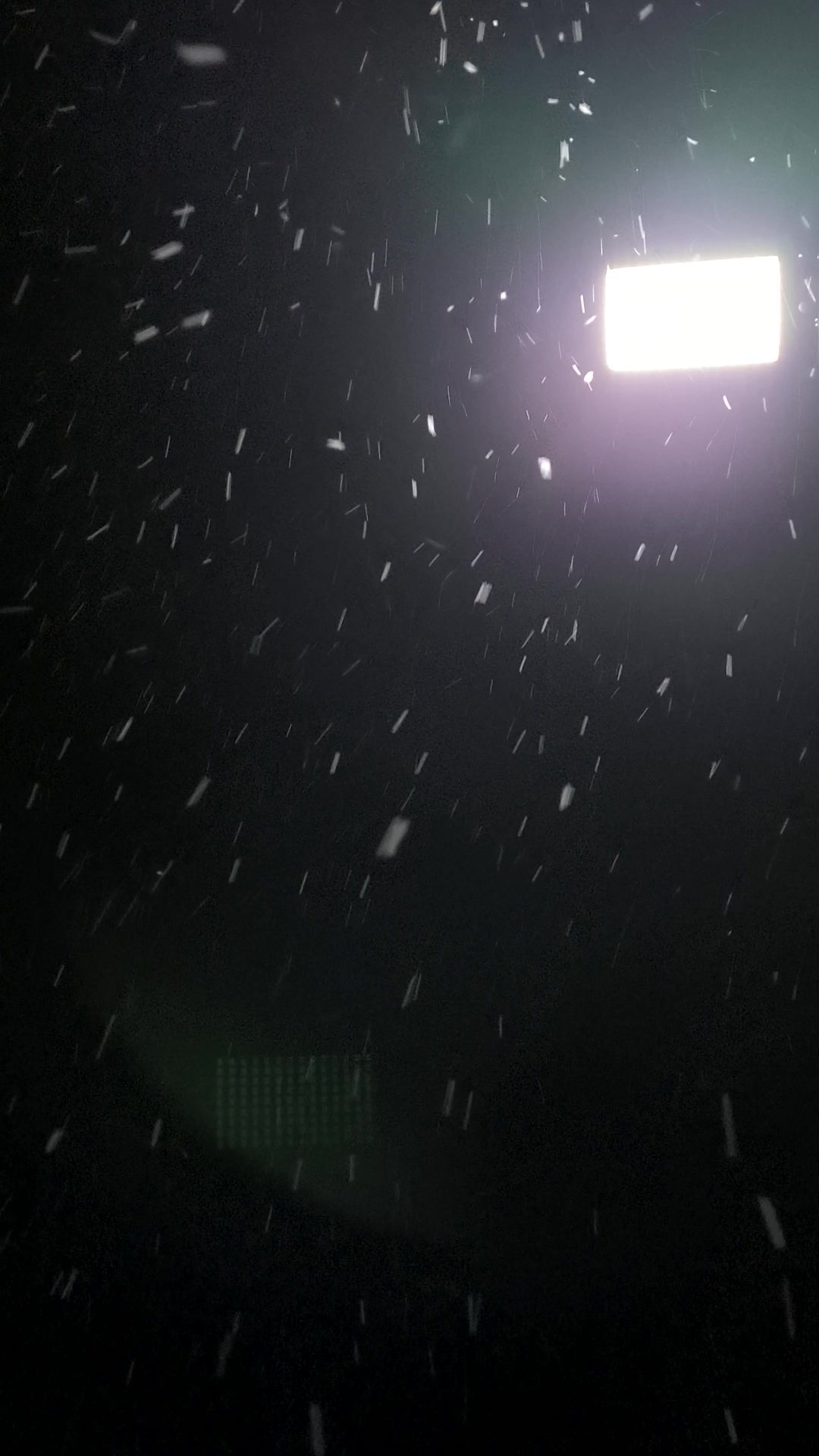video-3918956