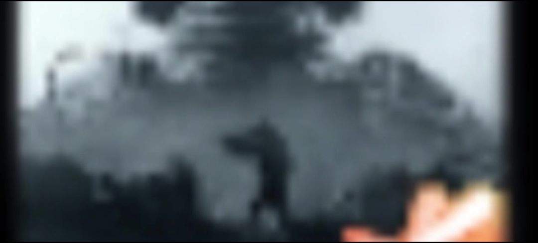 video-3919249