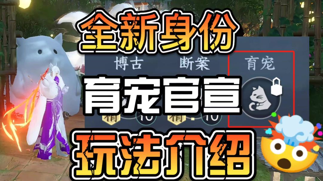 video-3922236