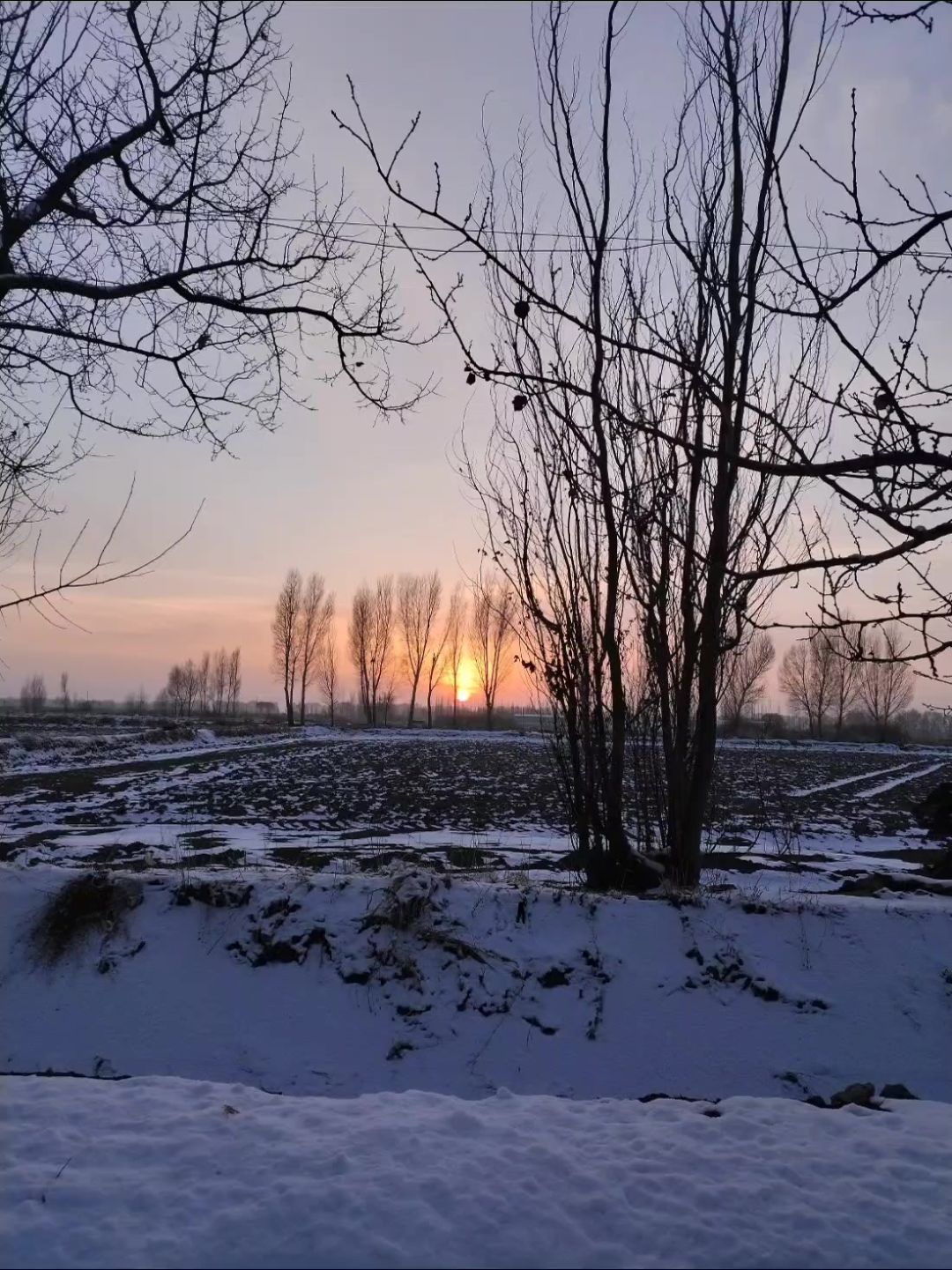 video-3926732