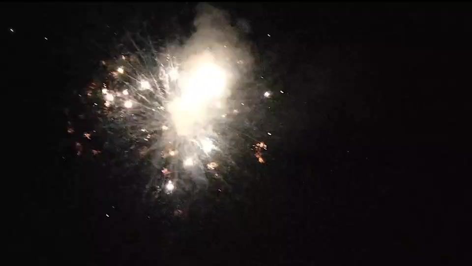 video-3933862