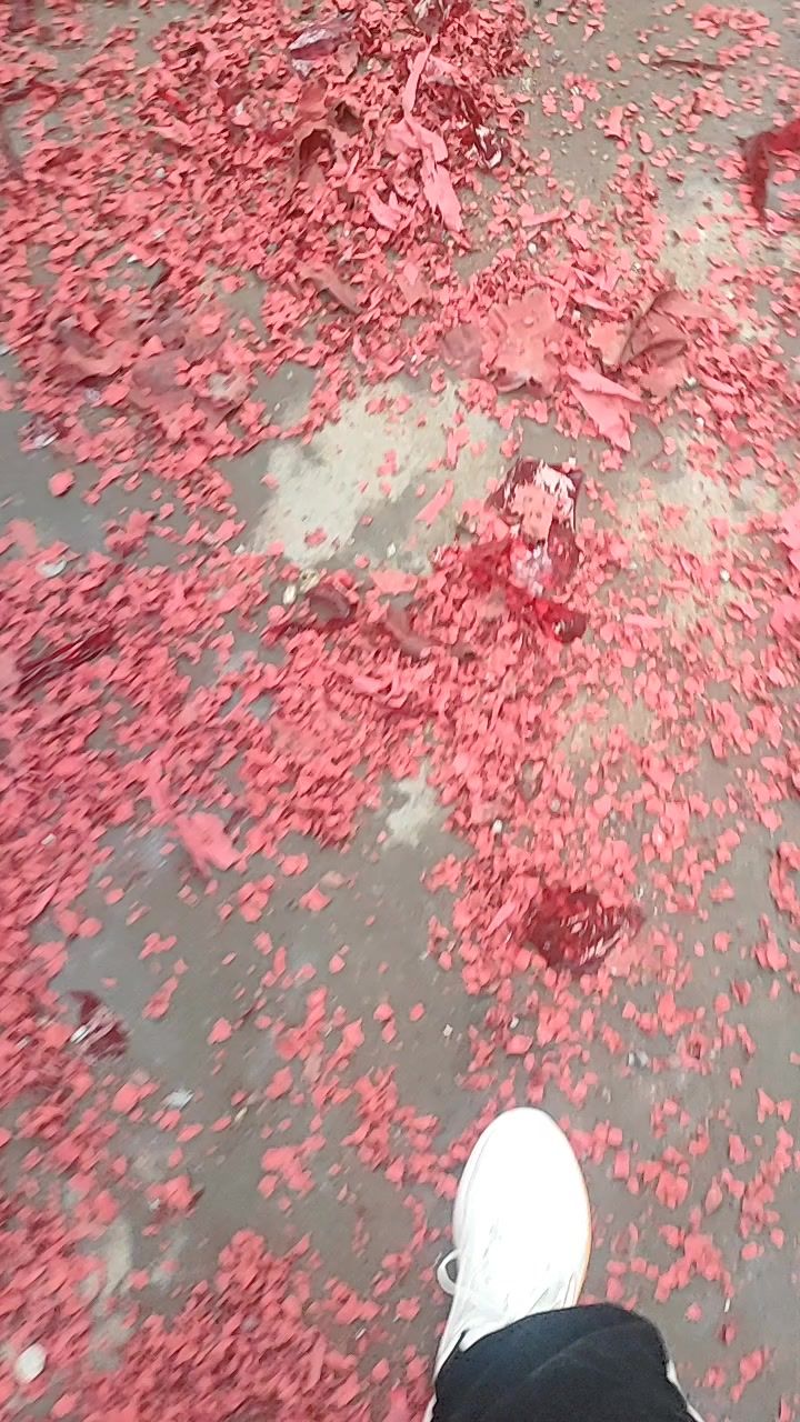 video-3934123
