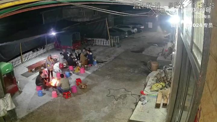 春愿保卫战截图