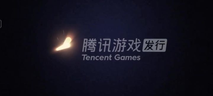 这个老是闪退是什么情况,是你游戏与iqoo手机不兼容?截图