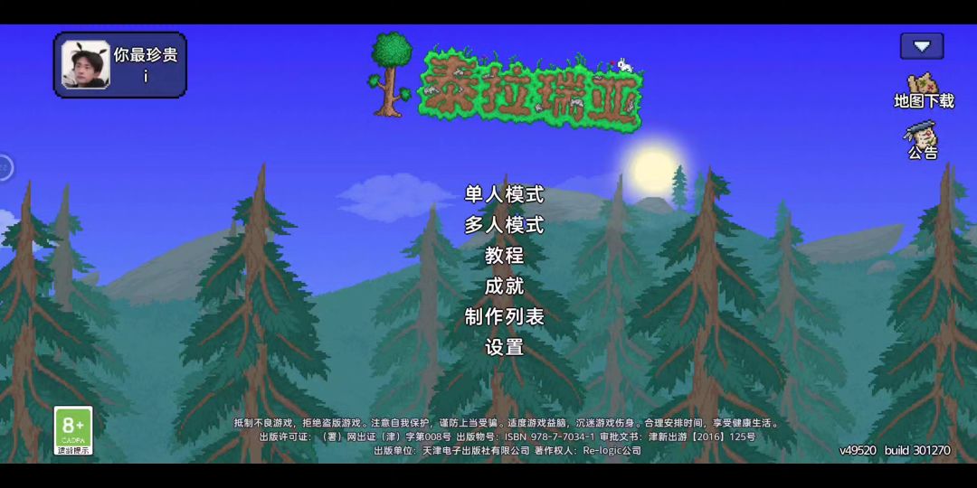 video-3941668