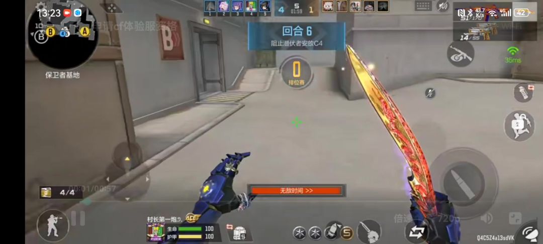 video-3941761