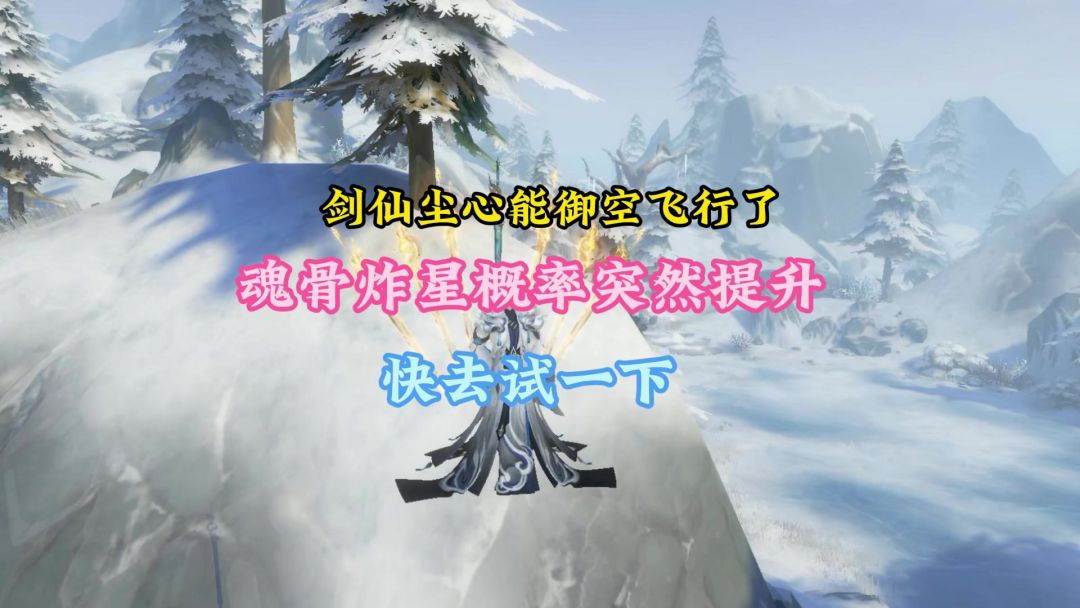 video-3949610