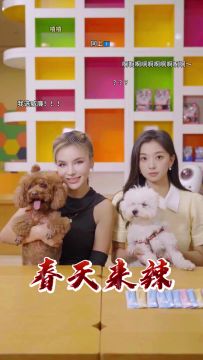 🍁春天来辣🍁