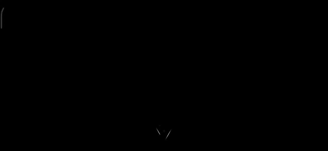 video-3951725