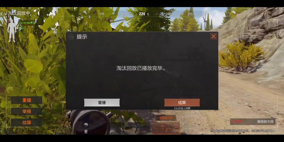 video-3961099