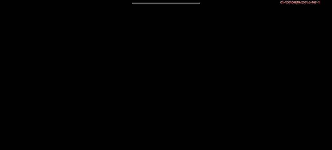 video-3961327