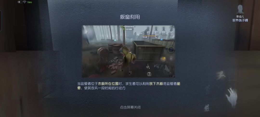video-3961532