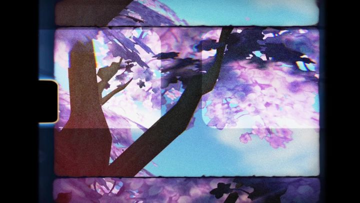 『鲜花特辑』“浪漫至死不渝” 情人节特别篇截图
