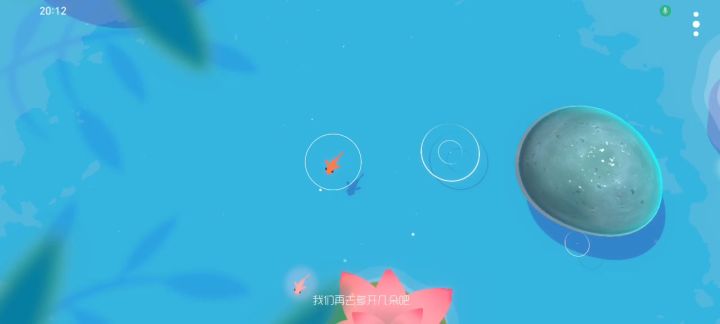 鲤截图