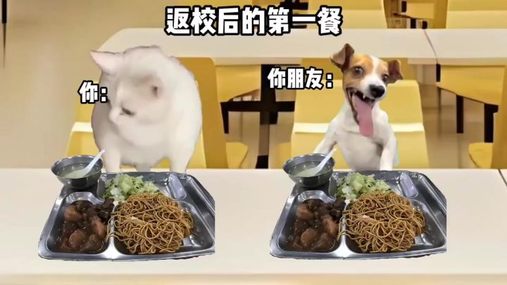 好好好返校后的食堂就这么玩是吧截图