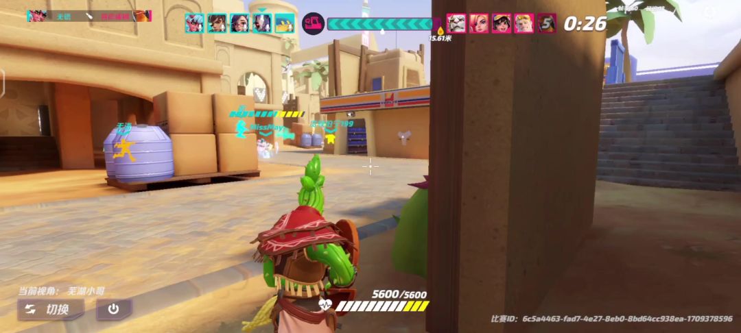 video-3969195