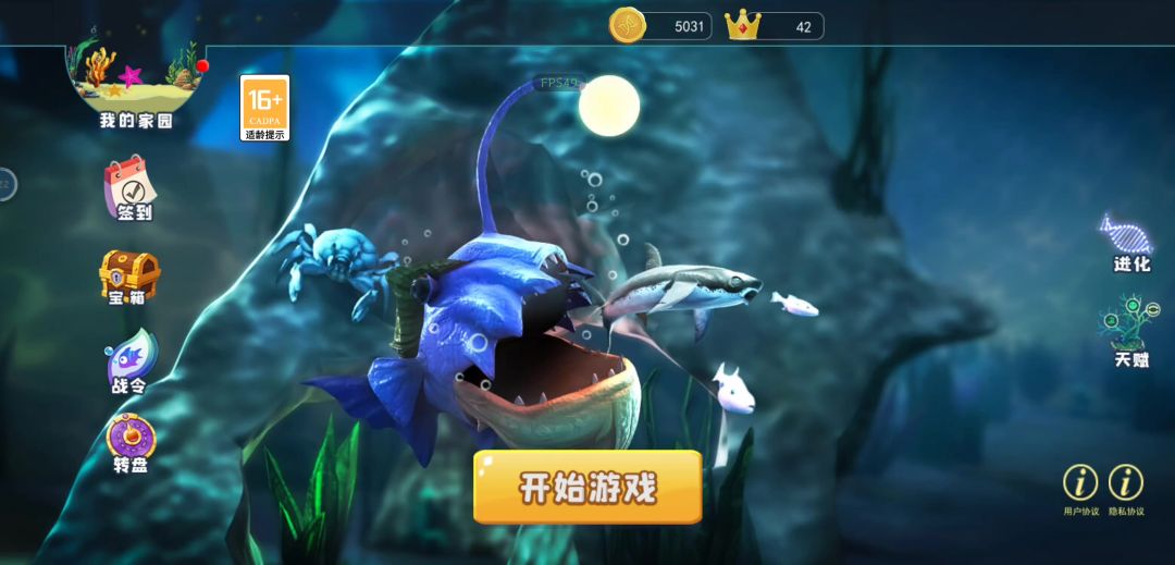 video-3970942