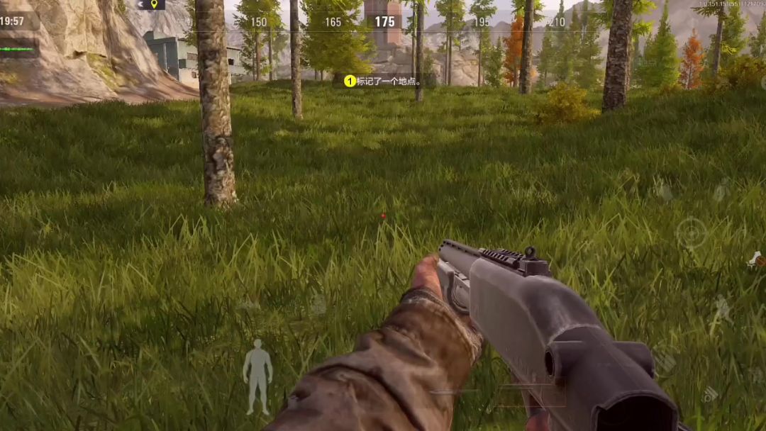 video-3971132