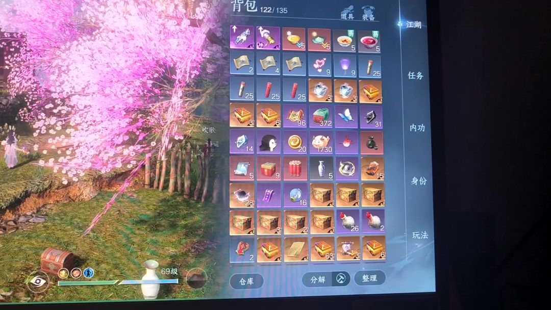 video-3971251