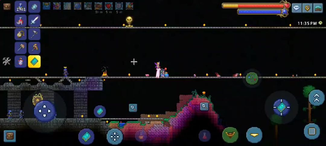 video-3976587