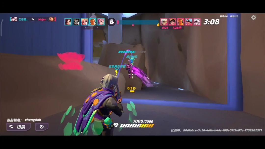 video-3977772