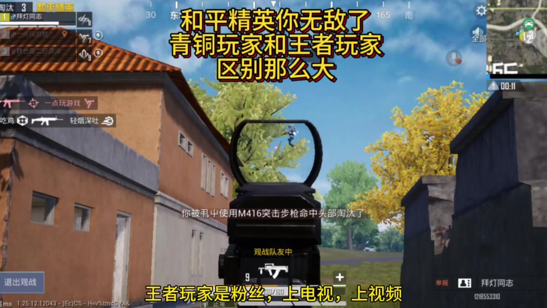 video-3982125