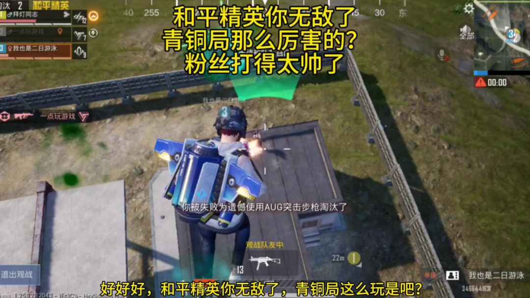 video-3982204