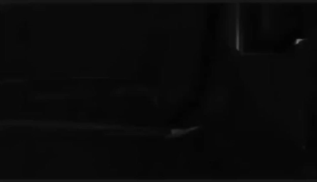 video-3988774