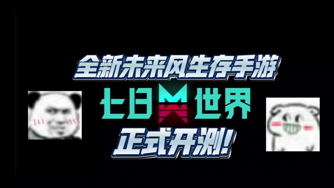 video-3992351