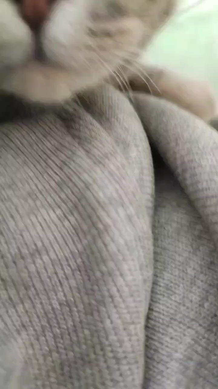 video-3992822
