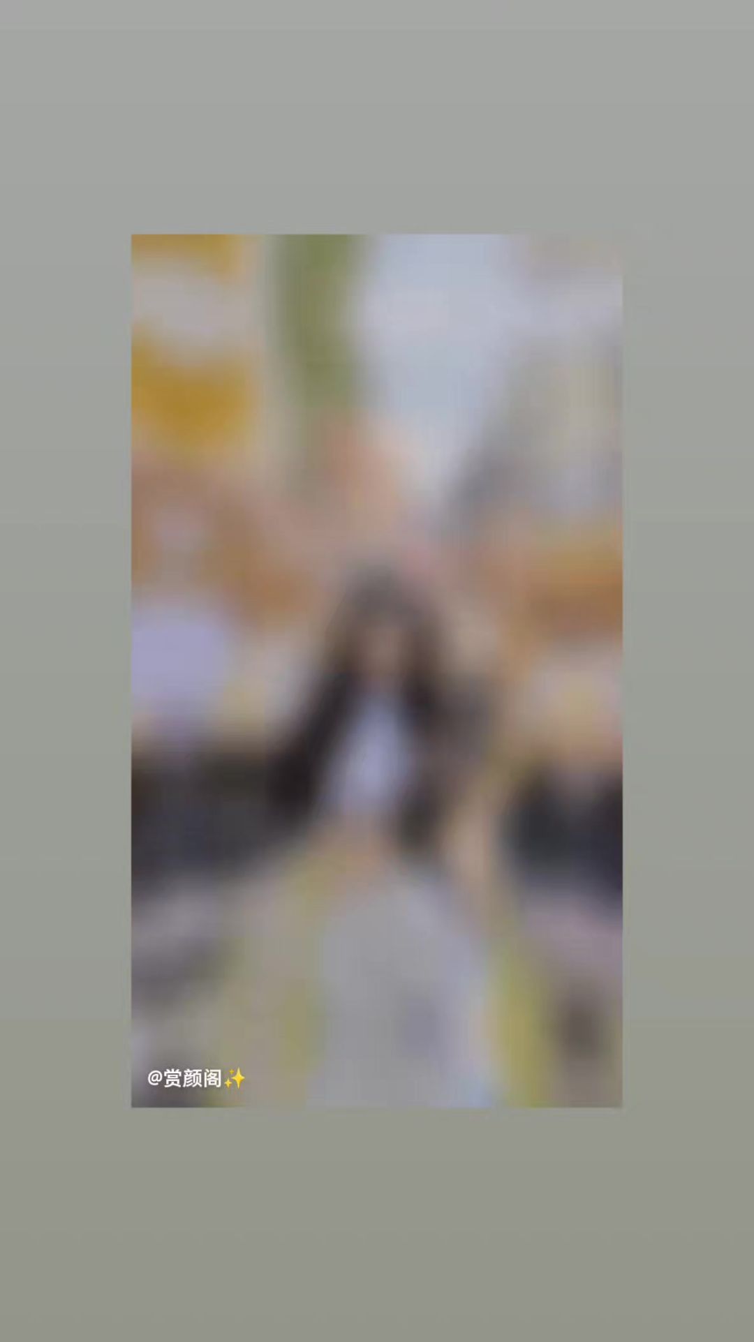 video-3993300