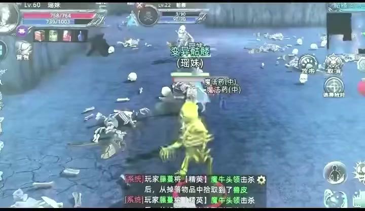 video-3994499