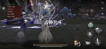 2w7魂力影舞者，30秒过主线共斗60(100)级