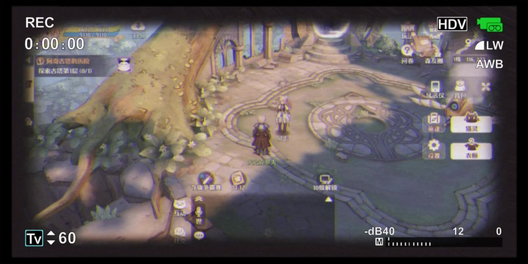 video-4003600